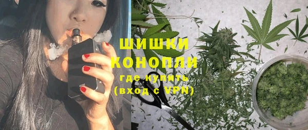 мдпв Карпинск