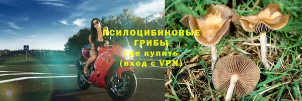 ешки Кинешма