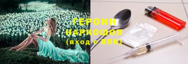 мдпв Карпинск