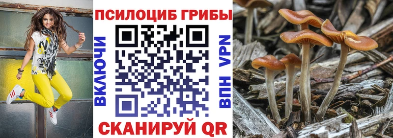 Купить закладки  Лабинск  Галлюциногенные грибы GOLDEN TEACHER 